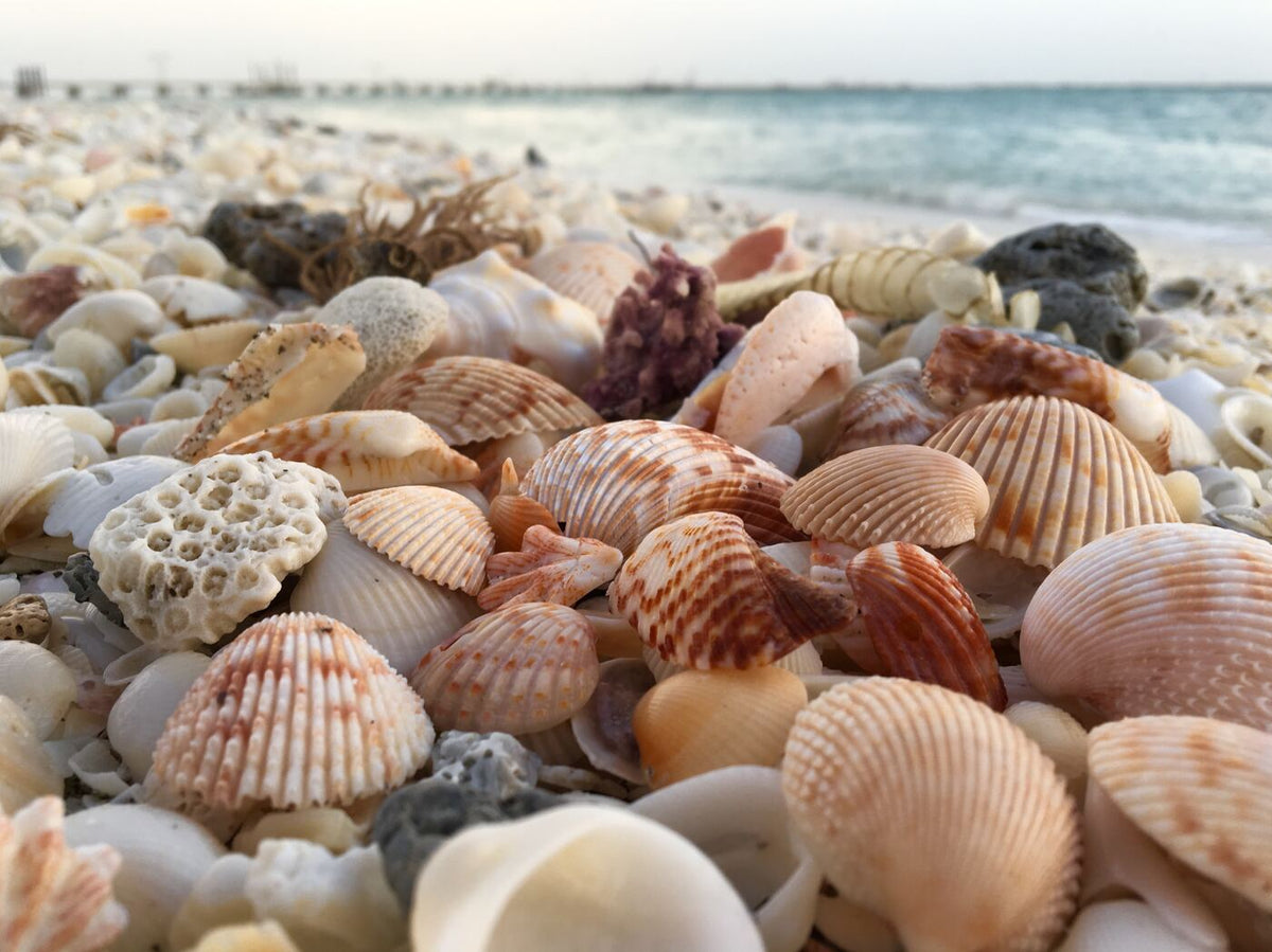 10 Activities for Families to Enjoy Together This Summer