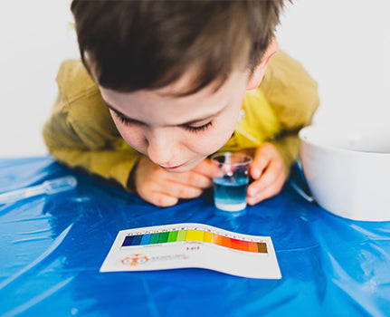 Science Experiments in an Online Environment