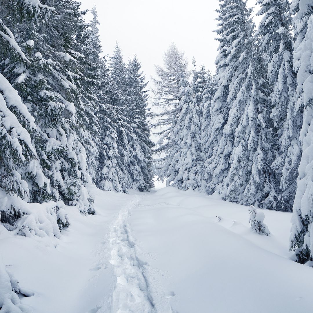 "Painting in Winter"