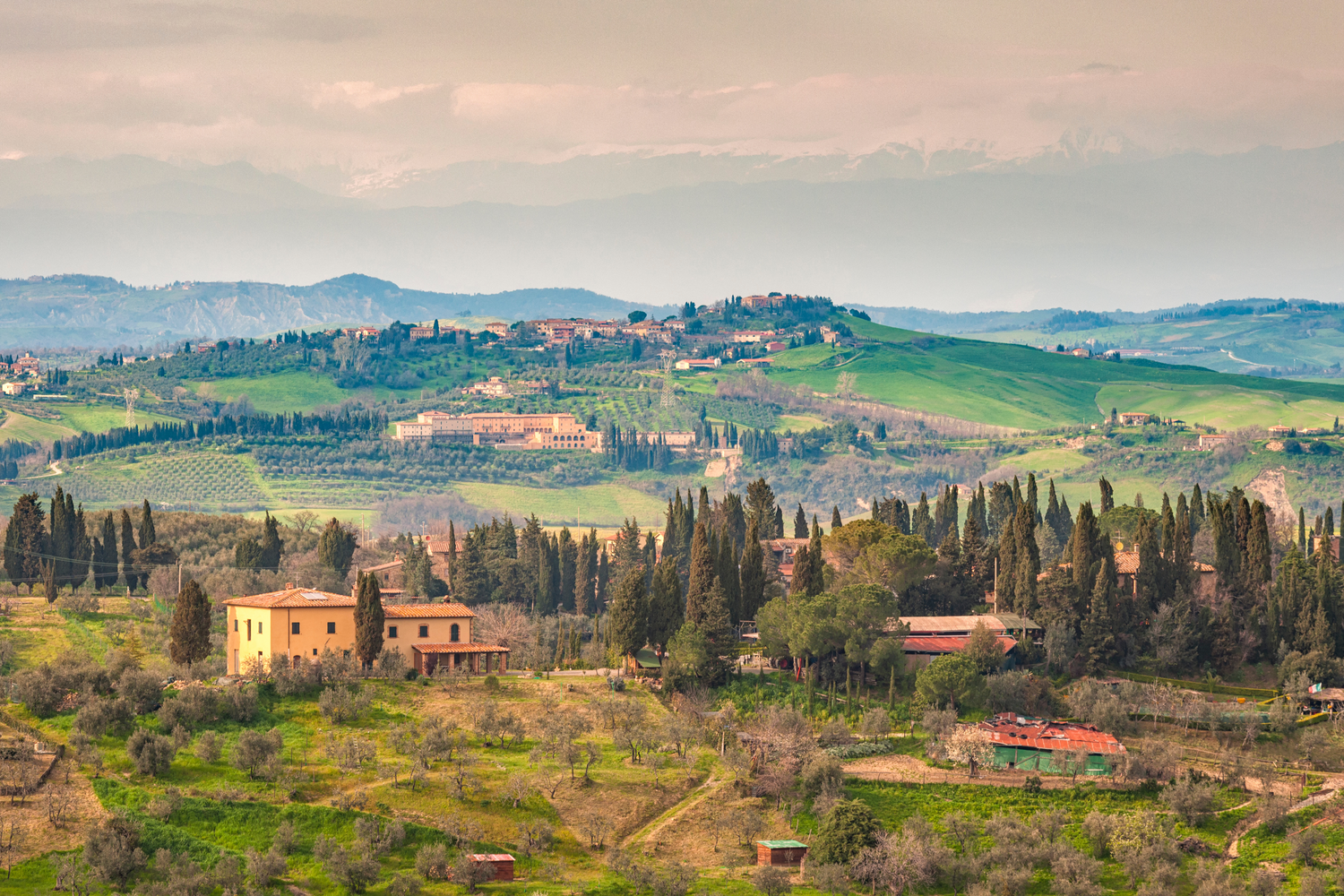 Home Is Where the Mind Is: Understanding Nostalgia in the Odyssey and the Aeneid through Plato’s Tripartite Soul