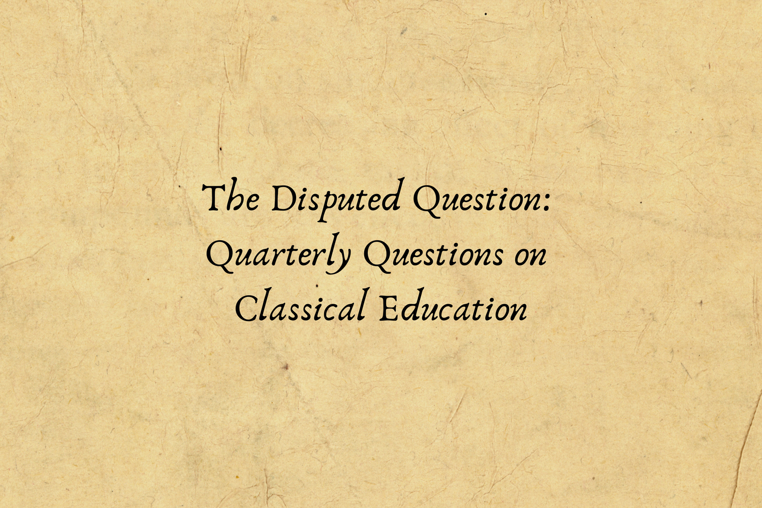 Carol McNamara: On the Just