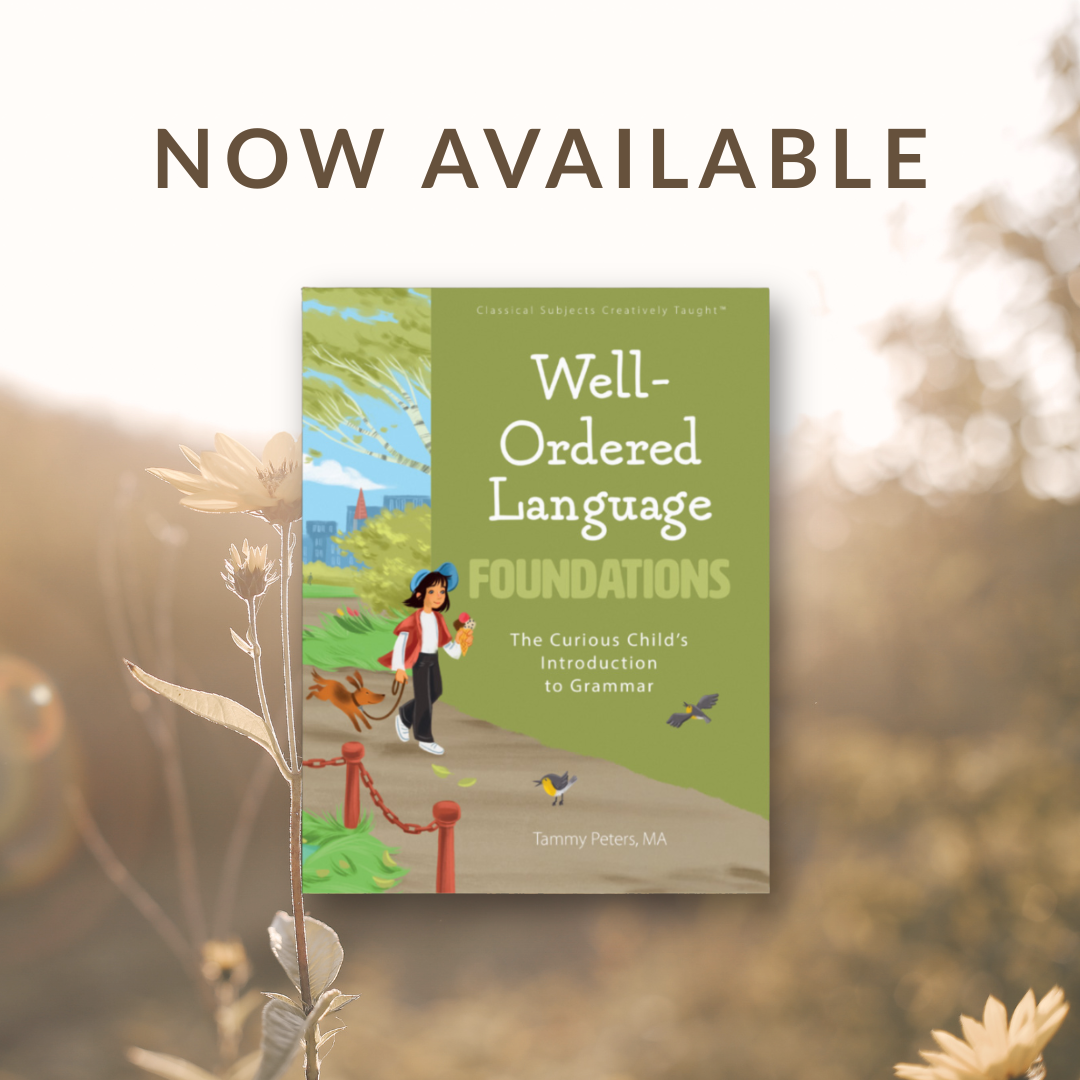 An Introduction to Well-Ordered Language Foundations
