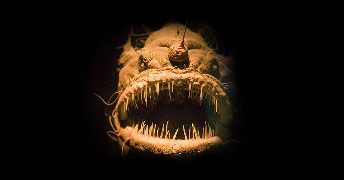 All Things Vile and Vicious, part 1: finding God’s glory in the horrors of nature