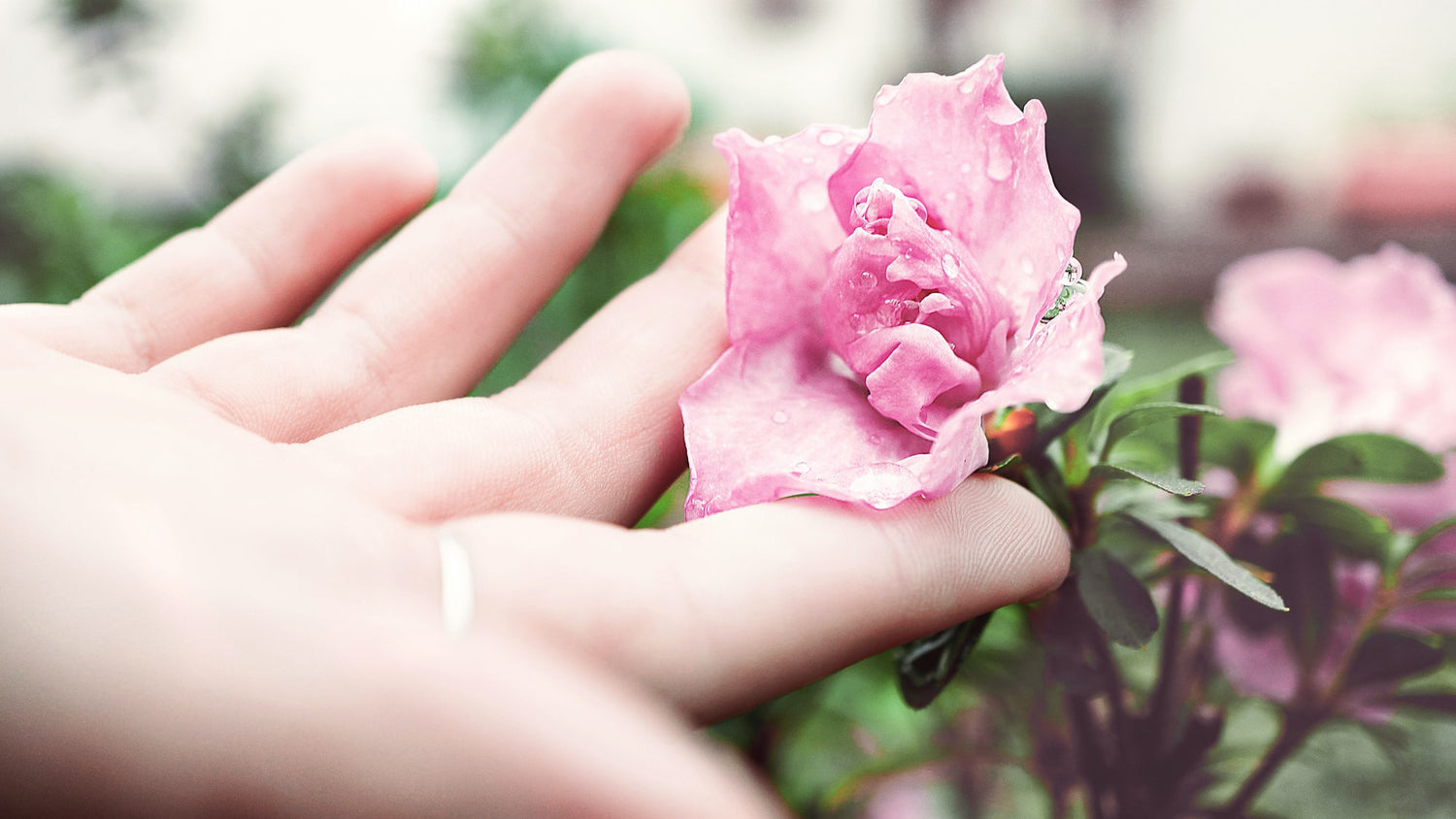 Teaching with an Open Hand