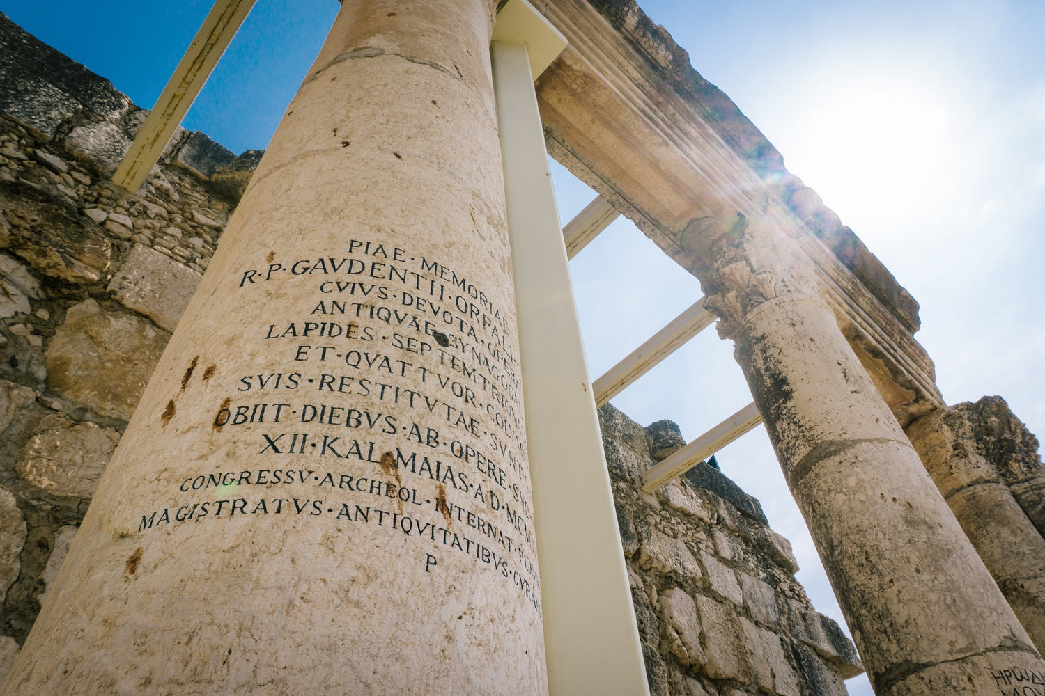 Switching from Henle to Latin Alive—a Letter