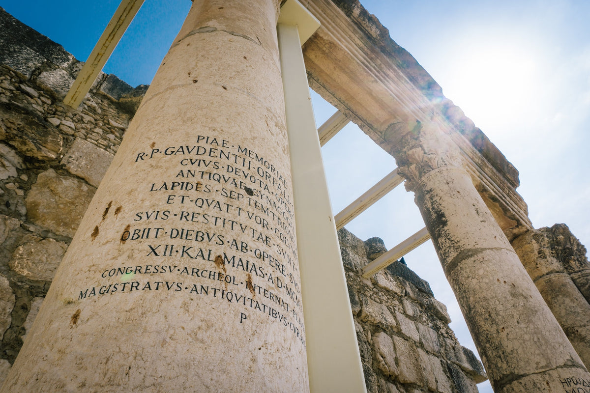 Switching from Henle to Latin Alive—a Letter