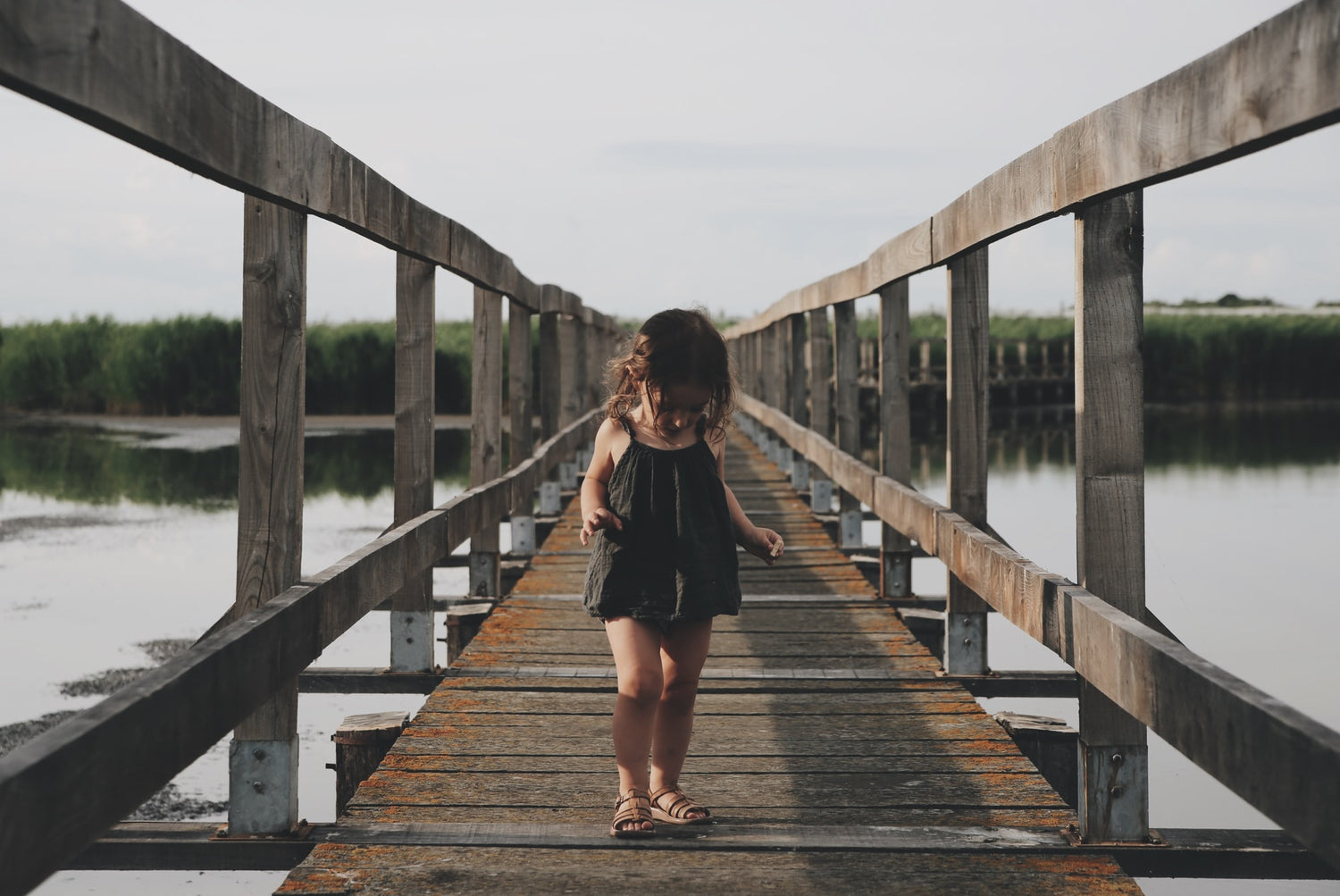 Summer Latin Practice Ideas