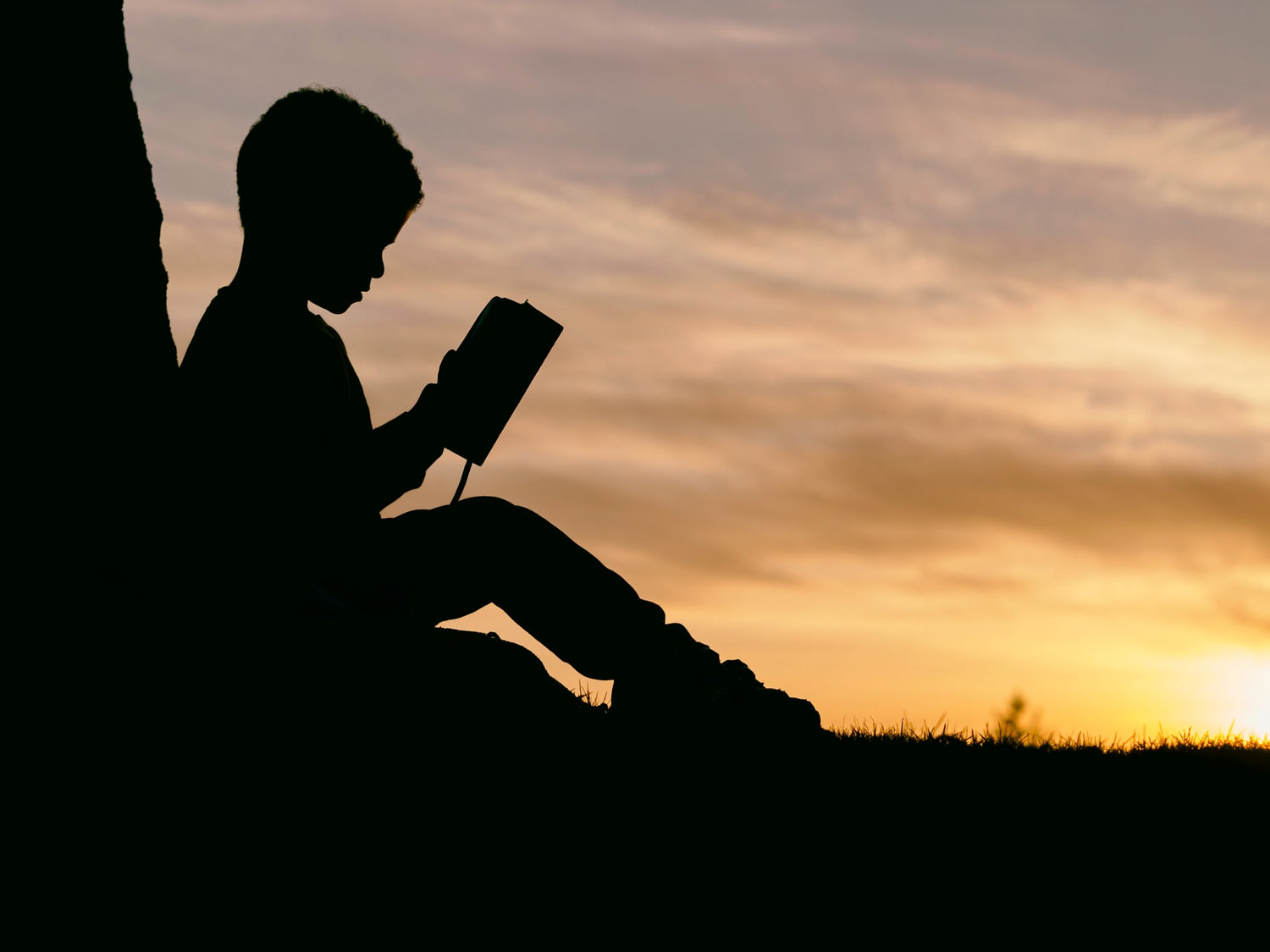 Education and Feeding the Soul