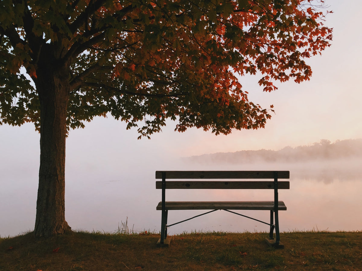 The Ever-Elusive “Good Life” and Our Shrunken Souls