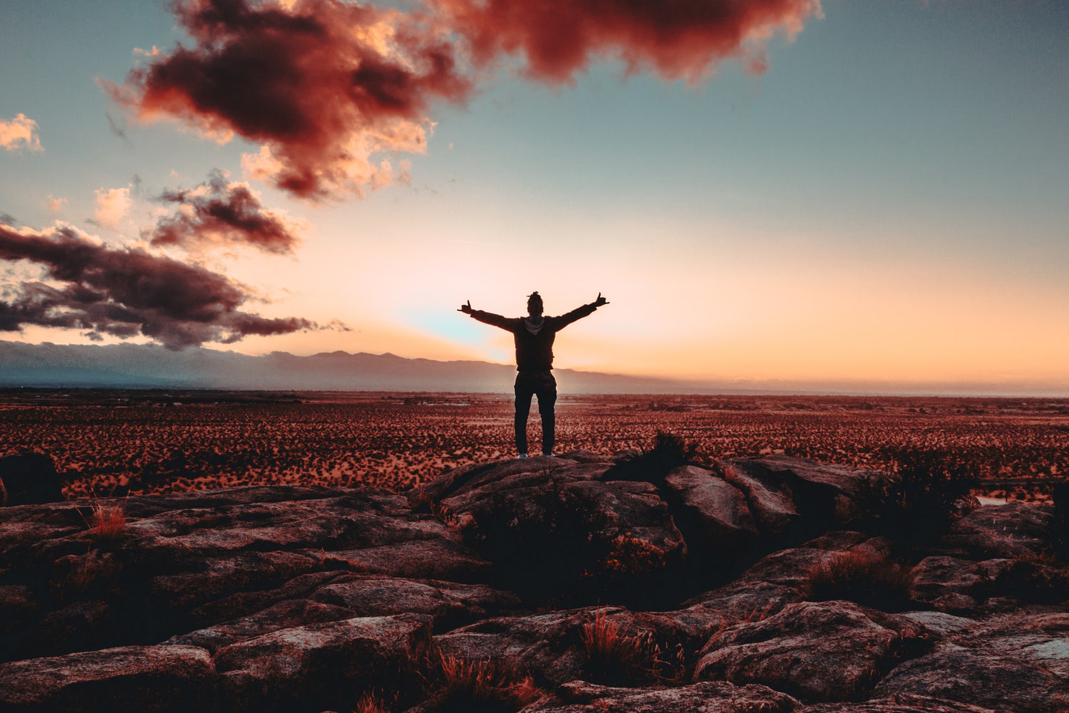 Motivation and Language Learning