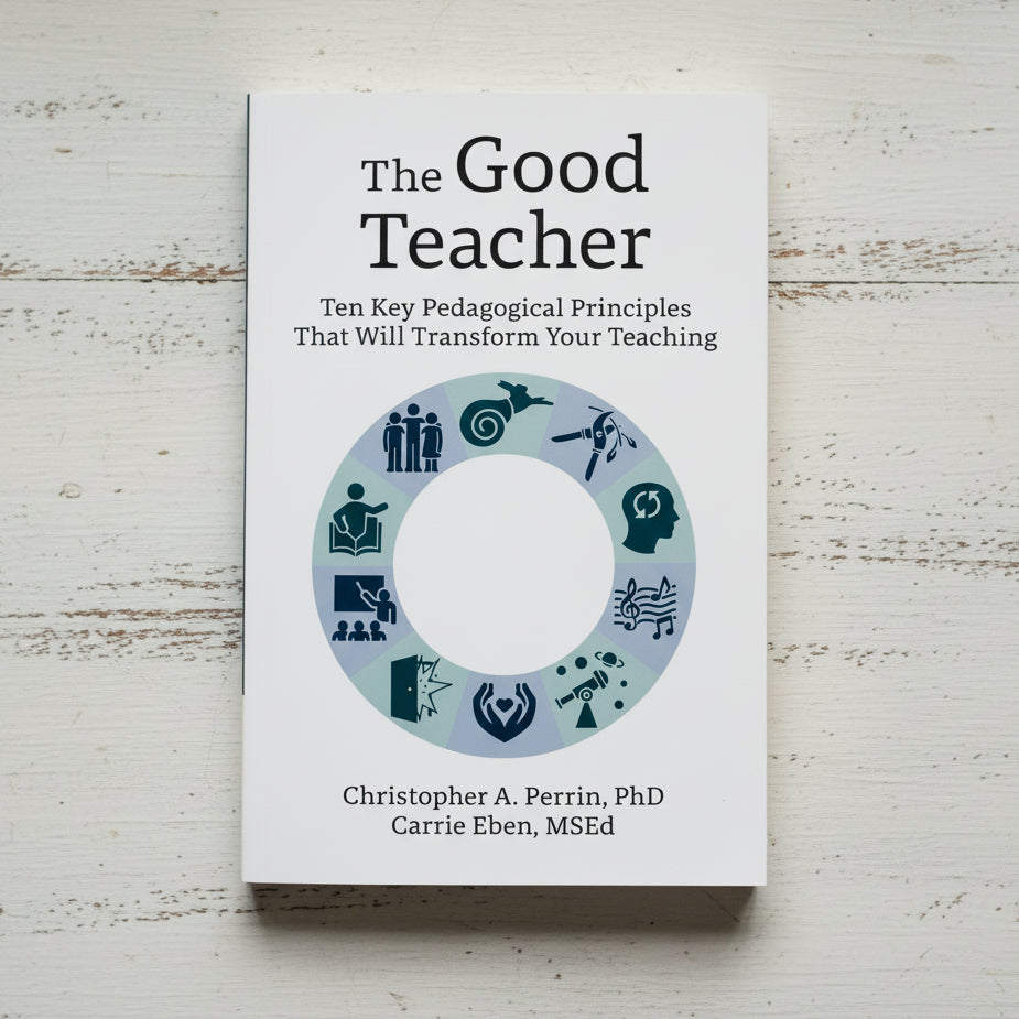 <strong>The Good Teacher</strong>