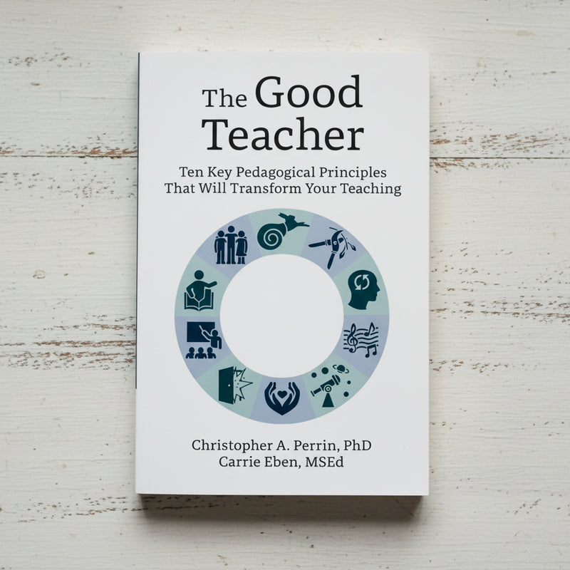 The Good Teacher book cover