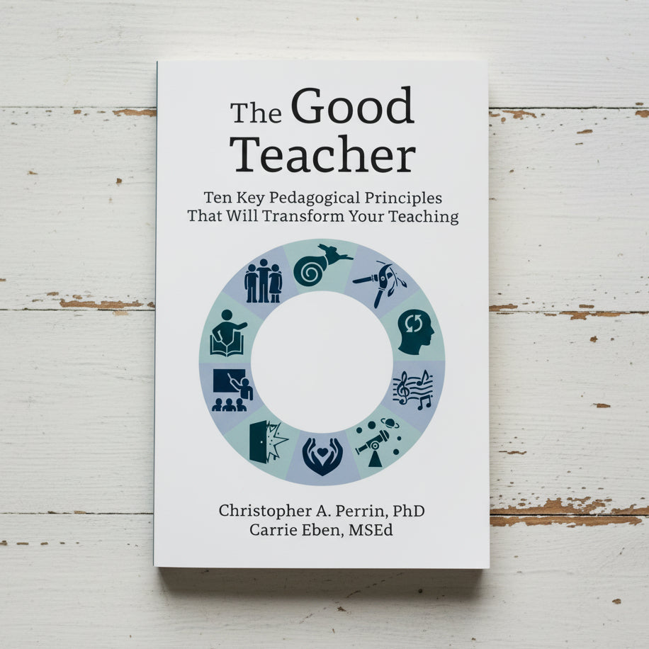 The Good Teacher: Ten Key Pedagogical Principles That Will Transform Your Teaching
