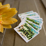 Spanish Amigo Match 1 Flashcard Game