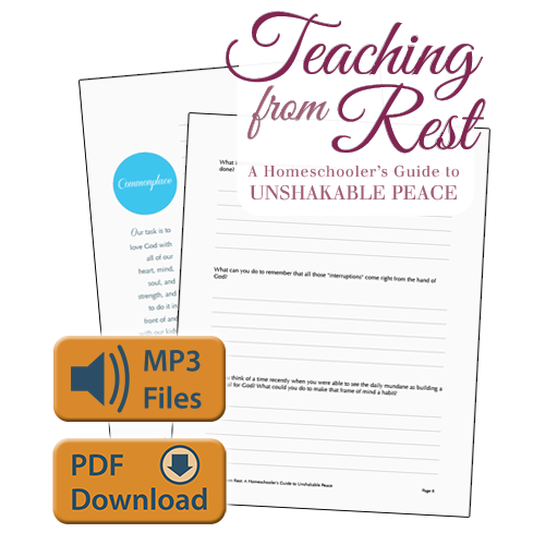 Teaching from Rest Companion Files