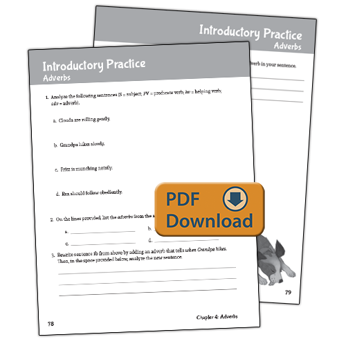 Well-Ordered Language Level 4A Extra Practice & Assessments